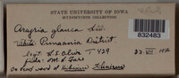 Image Associated With the Occurence